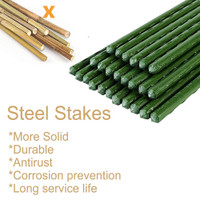 Steel Plastic Coated Garden Plant Stakes, Tomato Support Stick, Growing Climbing Fence Post, 24 Inch