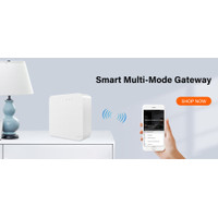 Tuya Smart Home Wifi 2 In 1 Carbon Monoxide Alarm Smoke Detector