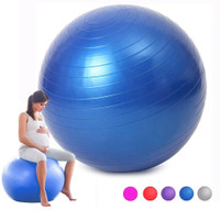 Sport Yoga Balance Balls Gym Fitball Exercise Workout