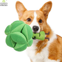 Snuffle Broccoli Dog Puzzle Toys Increase Iq Slow