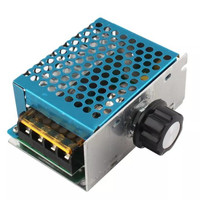 " AC Motor Speed Controller Light Lamp Dimmer 220 V 220V 4000W