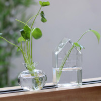 JJ Home Planters Clear Glass Flower Vase Plant Stand Vase Flower Pot