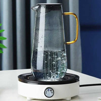 Teko Kaca Teh Jus Pitcher Borosilicate Glass 1.6 Liter