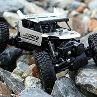 Readyy Mobil Rc Offroad Rock Super Climbing 4Wd Skala 1:16 2,4 Ghz Murah