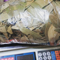 Berkualitas Bay leaf 1 kg Hijau Besar wangi - daun salam India