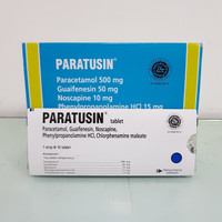 Paratusin Tablet PER STRIP  10 TABLET Murah