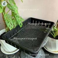 UM1 Tray pot untuk semai bibit hidroponik 50cm - TRAY POT NKT 50CM