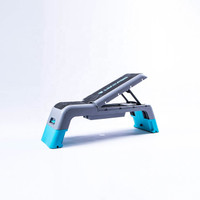 Live Pro Aerobic Step Deck Multifungsion Fitness