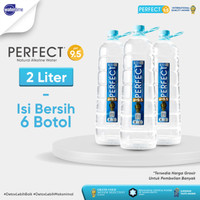 instN- Perfect Alkaline Water 2 Liter PH 9,5