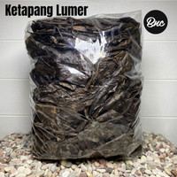 GLORY| Daun Ketapang Laut Olahan 1kg Perawatan Ikan Channa Cupang Arwana