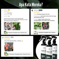 Workplant Pengkilap Daun Magic Leaf Shine 250 Ml Tanaman Hias Terlaris