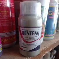 BAKTERISIDA BENTENG 250 ML MENGENDALIKAN LAYU FUSARIUM DAN ANTRAKNOSA DAN XANTOMONAS