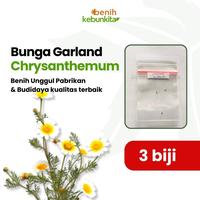 Jual NEW Benih Biji Bunga Chrysanthemum Snowball White Pack - Als ...
