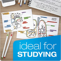 New Product - Oxford Ruled Index Cards 3X5 Inch 100 Sheets White 3" X 5" 3"X5" Natura Shop-