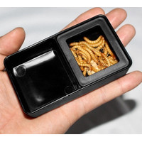 Combo Dish Tempat MInum - Makan Ulat Hongkong Jangkrik Reptile Segi 4 10.5x6cm