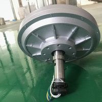 2000W 6000W 8000W 12V 24V 48V Vertical Permanent Magnet Alternato