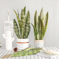 Promo 41Cm Tanaman Hias Sensivera 4 Daun Lidah Mertua Latex Artificial Plastik Snake Plant Daun Barang Berkwalitas