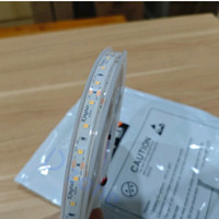 Lampu led strip Kingtas IP68 12V 120Led 5m outdoor anti air 10w per meter waterproof High quality