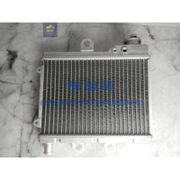 Radiator Komplit Tutup Kawasaki Ninja 150 R SS Hiqh Quality