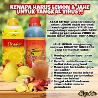 Drajanie ( Rajani + Dlmonie ) Jahe Merah Dlemonie