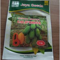 Pepaya California Jaya Seed @ 1 Gram