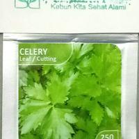 Bibit Import Celery Seledri Daun