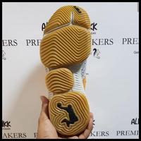 safari lebron 16