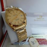 Jual Omega Seamaster Aqua Terra Model 