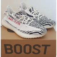 harga adidas yeezy