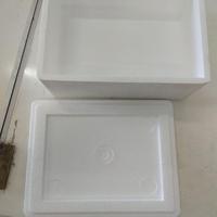 gabus box sushi / styrofoam box sushi