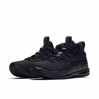 lebron low 15