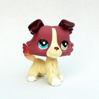 lps dogs