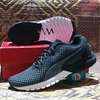 puma ignite dual mesh