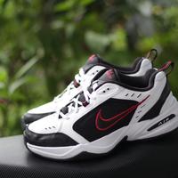 air monarch barçın