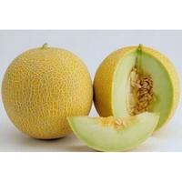 Melon Madu 1 Buah