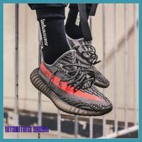 yeezy zebra beluga