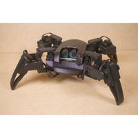 Spider Q1 mini Quadruped Robot 2.0 / full rangka / ranka saja