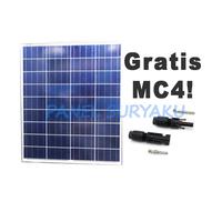 Panel Surya 80wp Polycrystalline Promo