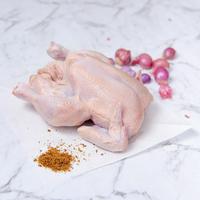 Jual Ayam Potong Di Bogor Harga Terbaru 2021 Jual Ayam Potong Di Bogor Harga Terbaru 2021