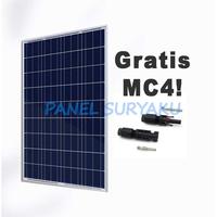 Panel Surya 100wp Polycrystalline Original