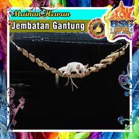 Jembatan gantung / panjatan sugar glider / mainan hewan / tupai / acc