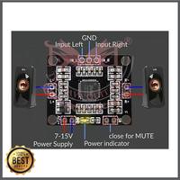 Kit Mini Ampli Power 2x15w PAM8610 Class D Digital Audio Amplifier