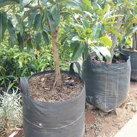 Gambar planter bag 100 liter dari FortuneOlshop13 undefined 2 Tokopedia