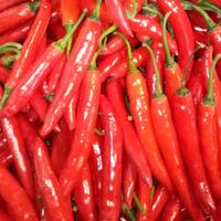 Gambar Cabe Merah Besar Segar 1kg Grosir - Cabai TW Merah Fresh dari STP BUMBU FreshMart Store undefined 1 Tokopedia