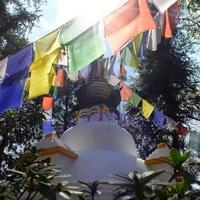 Gambar Bendera Nepal Aksesoris Kemah Praying Flag Nepalese Tibetan dari Moonlight Outdoor undefined 3 Tokopedia