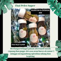 Gambar thai pelet super dari memebetta undefined 1 Tokopedia