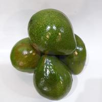 Gambar Alpukat Per 1KG dari PUSAT BUAH ABAK PALEMBANG undefined 2 Tokopedia