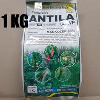 Gambar Fungisida Antila 80WP 1 KG Untuk Busuk Daun dari Itoo Bintang Jaya undefined 1 Tokopedia