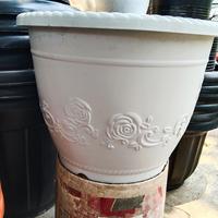 Gambar pot Shaloom putih no 40 dari Fajri jaya lancar undefined 1 Tokopedia