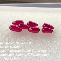 Gambar Mustika Batu Merah Delima Asli Alami dan Langka Borongan 7PCS dari Pusaka Bahari Kalimantan undefined 4 Tokopedia